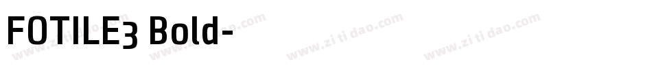FOTILE3 Bold字体转换